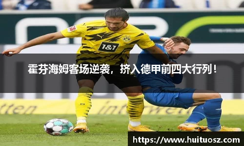 mk体育