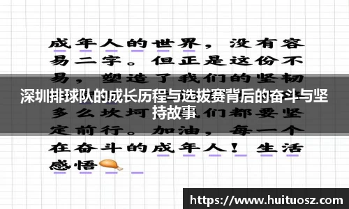 深圳排球队的成长历程与选拔赛背后的奋斗与坚持故事