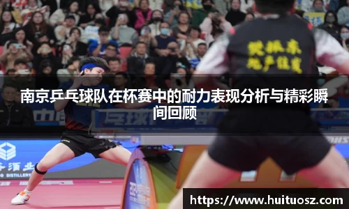 mk体育(MKsports集团)股份公司