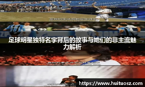 mk体育官网登录平台