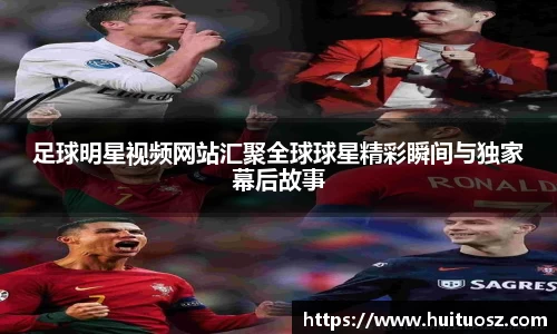 mk体育官网登录平台